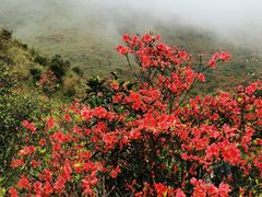 -广东天露山旅游度假区
