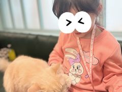 -安格丽娜·狗咖·猫咖羊驼咖(春熙路百盛商场店)