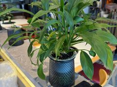 -回·龙虾铺·盆盆蟹·烧烤大排档(回龙观店)