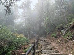 -冶父山国家森林公园