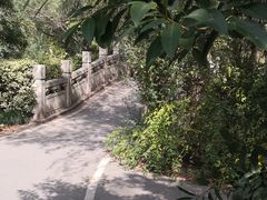 -新江湾城公园