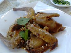 -百利鸽王(紫薇路店)