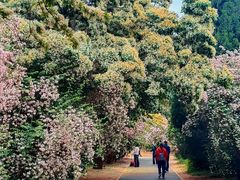 -国家植物园南园