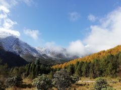 -硗碛藏寨·神木垒景区