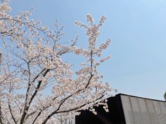 -龙美术馆(西岸馆)