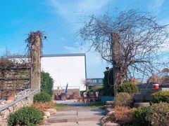 -桃园农庄·桃源宴