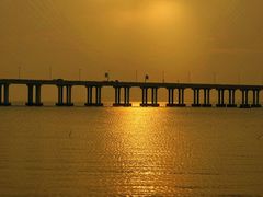 -宝安西湾红树林湿地公园