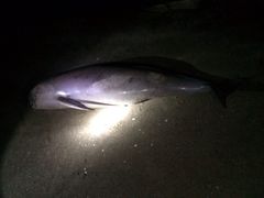 嵊泗基湖沙滩-嵊泗基湖沙滩