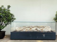 -嘉定博物馆