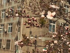 -山东大学(洪家楼校区)