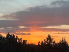 -老酒川菜坊(中山西路店)