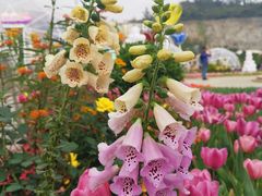 -龙环葡韵住宅式博物馆