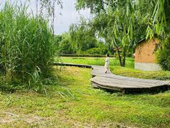 -西溪国家湿地公园