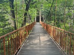 -帽儿山国家森林公园