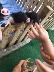 -萌宠亲子动物乐园(槐房万达店)