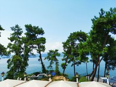 -宝荣鱼馆·临湖之宴(千岛湖店)