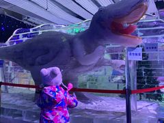 -宁波冰雪大世界(北仑区)