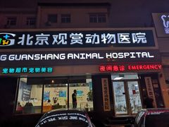 -北京观赏动物医院·24小时大型综合·猫专科·异宠专科