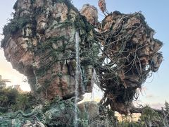-奥兰多迪士尼动物王国乐园