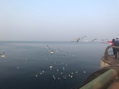 -东港音乐喷泉广场