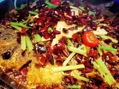 -老板恋上鱼(恒隆广场店)