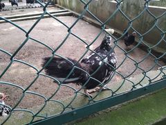 -南京金牛湖风景区