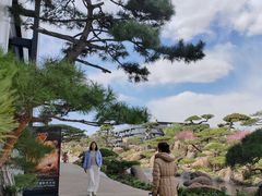 -罗红摄影艺术馆