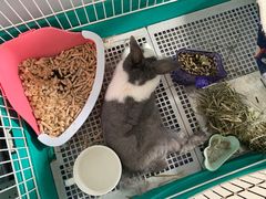 -上海潜殿潜水中心