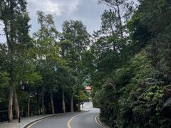 -深圳仙湖植物园