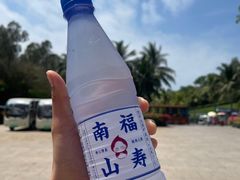 -三亚南山文化旅游区