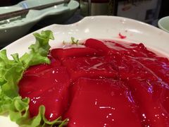 鲜鸭血-晓宇重庆火锅(赛格国际购物中心店)