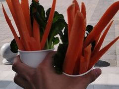 -南戴河国际娱乐中心