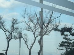 -烟台金沙滩喜来登度假酒店