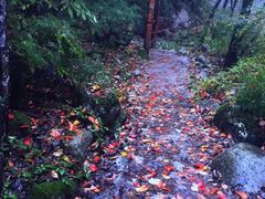 -青峰峡国家森林公园