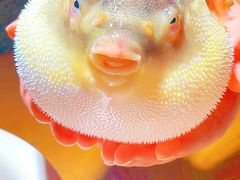 -永安鱼庄·镇江菜(东吴路店)