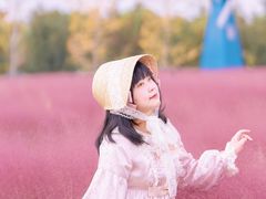 -鹅湖玫瑰文化园