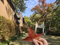 -灵谷景区