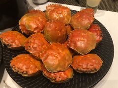 -新发展亚太JW万豪酒店·福苑咖啡厅