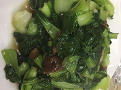 -品雅轩农家乐