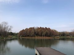 -尚贤河湿地