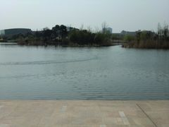 CIMG1420-新江湾城公园