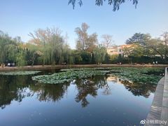 -八大关景区