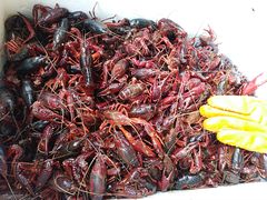 -马王堆海鲜水产市场