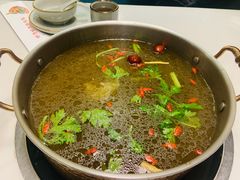 -菌子鲜汤野生菌锅