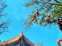 -雍和宫