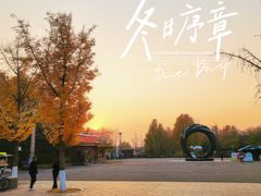 -大兴滨河森林公园