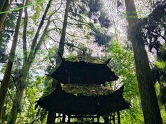 -青城山