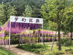 -黄公望隐居地
