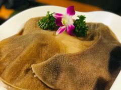 比脸大的毛肚-锅说大脸毛肚重庆老火锅(佐阾店)