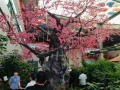 -君临七星生态酒店